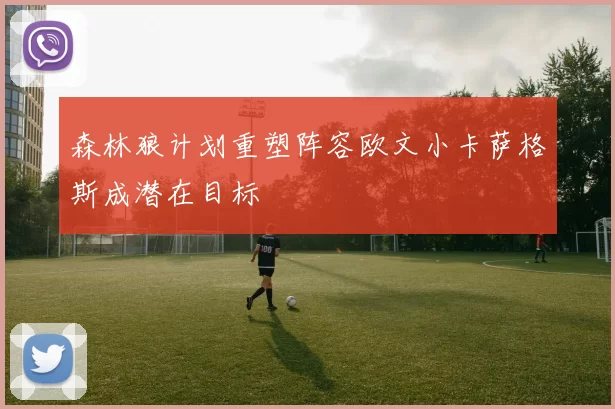 森林狼计划重塑阵容欧文小卡萨格斯成潜在目标
